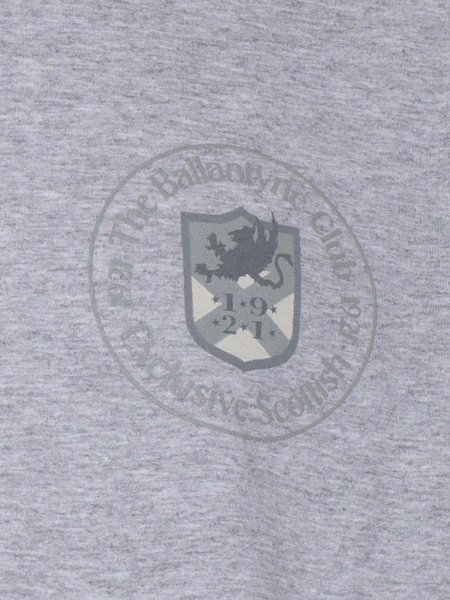 Gray T-shirt With Logo