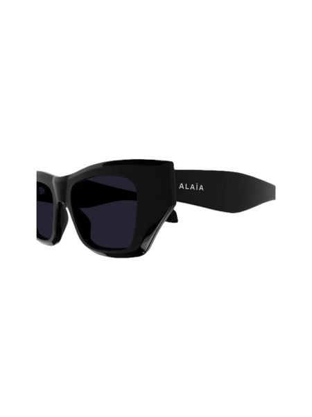 Aa0074 Sunglasses