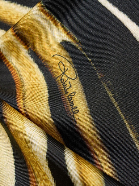 Ray Of Gold printed silk twill dress