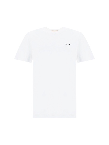 Cotton t-shirt with embroidered logo