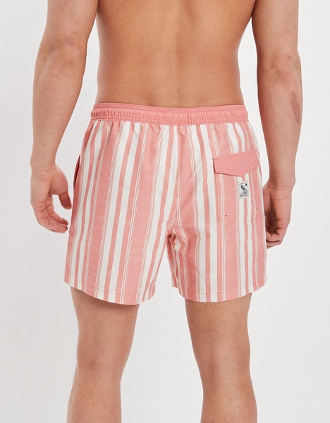 ae 5.5" striped swim trunk