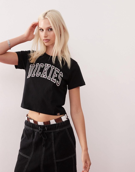 Dickies Aitkin Varsity t-shirt in black