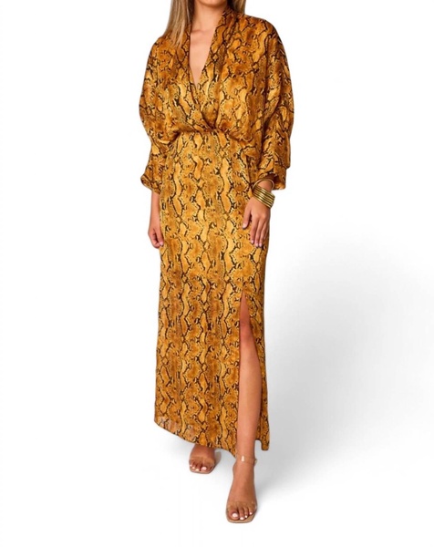 jude long sleeve maxi dress in snake charmer