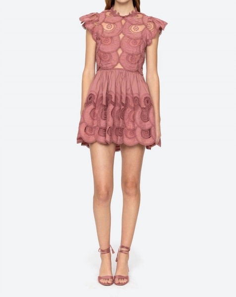 drea embroidery flutter sleeve dress in rose