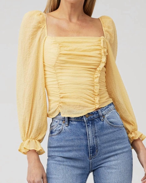 tonina sheer long sleeve top in dandelion