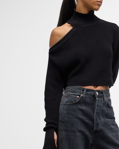 Neumi Cut-Out Turtleneck Cropped Sweater