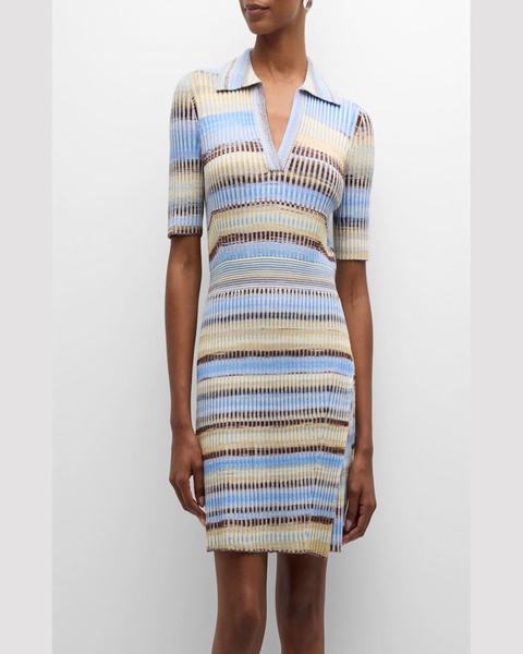 Solana Stripe Knit Polo Mini Dress