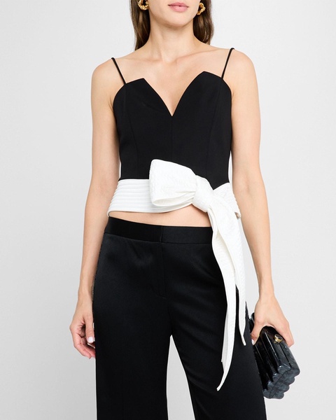 Cropped Tie-Waist Bustier Top