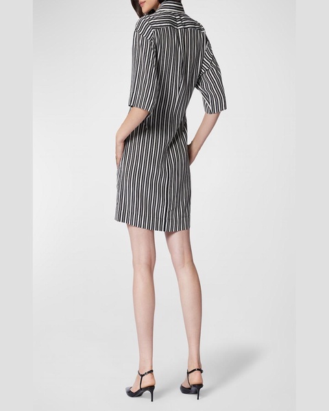 Etienna Striped Silk Button-Front Mini Shirtdress