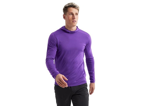 Ionia Merino Wool Hoody