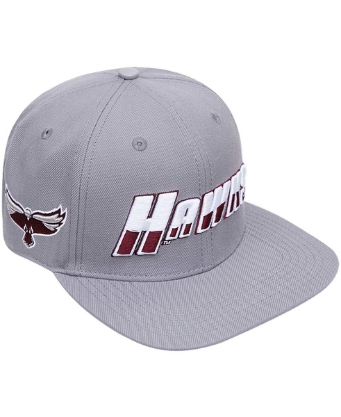 Men's Gray Maryland Eastern Shore Hawks Evergreen Hawks Snapback Hat