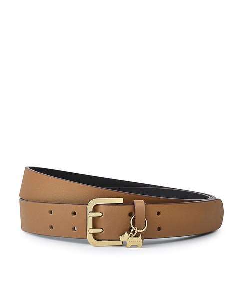 Women's Curzon Street - Classic Jeans Belt