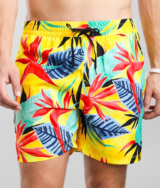 Bird Rock Volley Swim Trunks