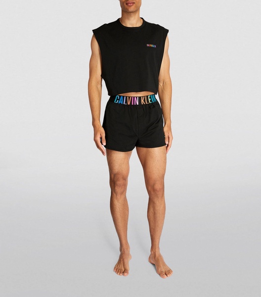 Intense Power Pride Sleep Shorts