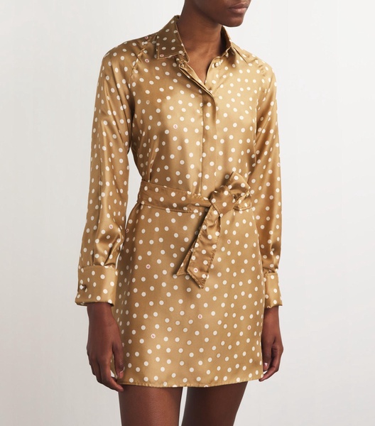 Silk Polka-Dot Mini Dress