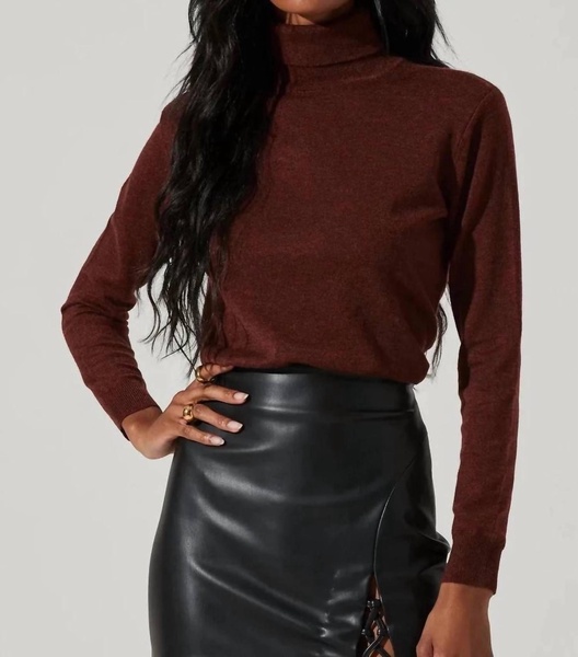 alden turtleneck sweater in rust