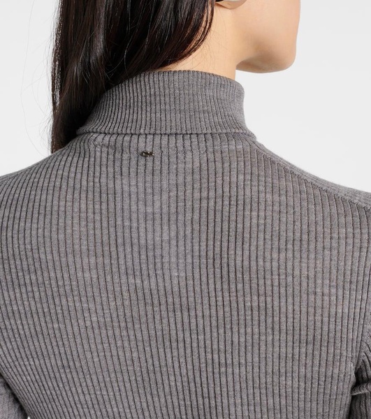 Flavia virgin wool turtleneck sweater