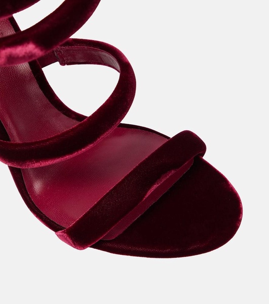 Cleo 105 velvet sandals