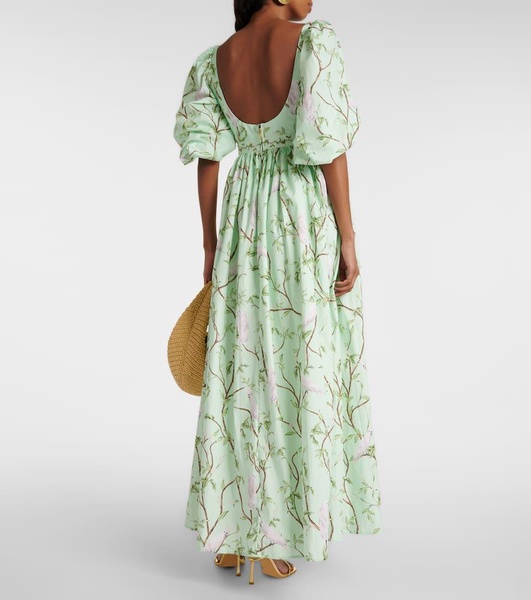 Vivianne Cacatua printed cotton maxi dress