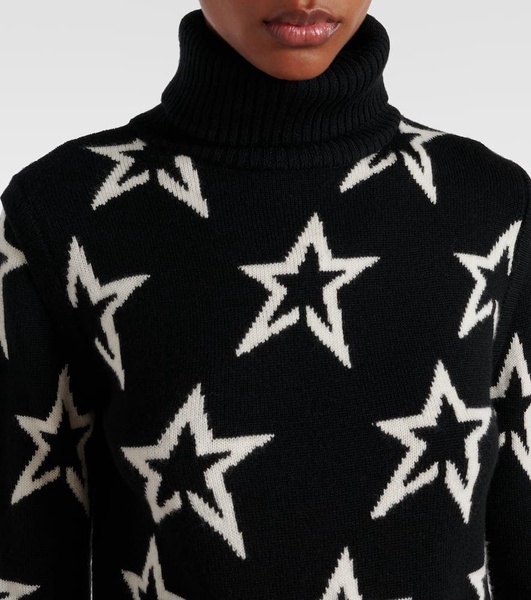 Aster wool turtleneck sweater