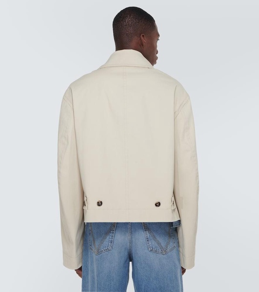 Coated cotton blouson jacket