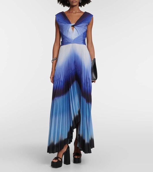 Printed pleated maxi dress