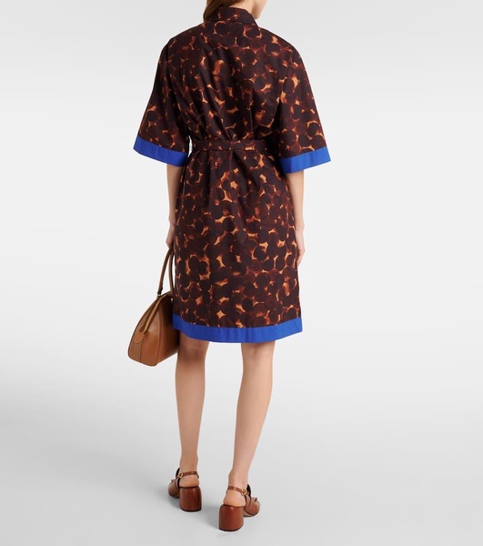 Printed cotton poplin shirt dress