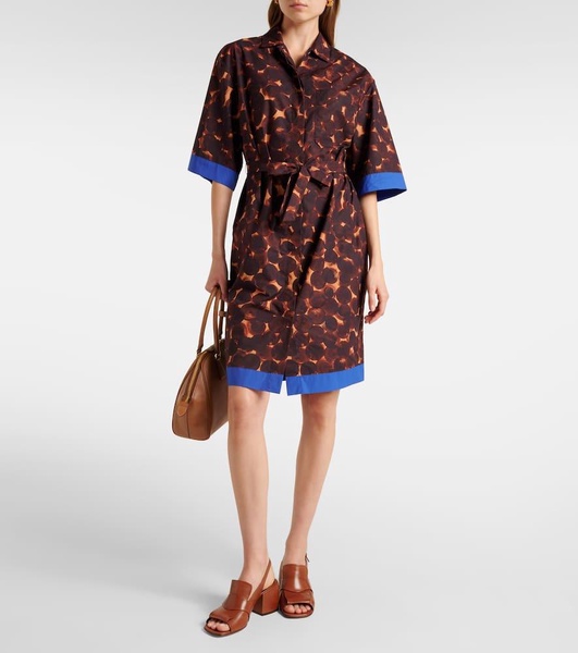 Printed cotton poplin shirt dress