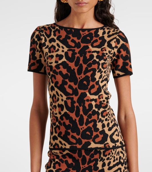 Shoert leopard-print top