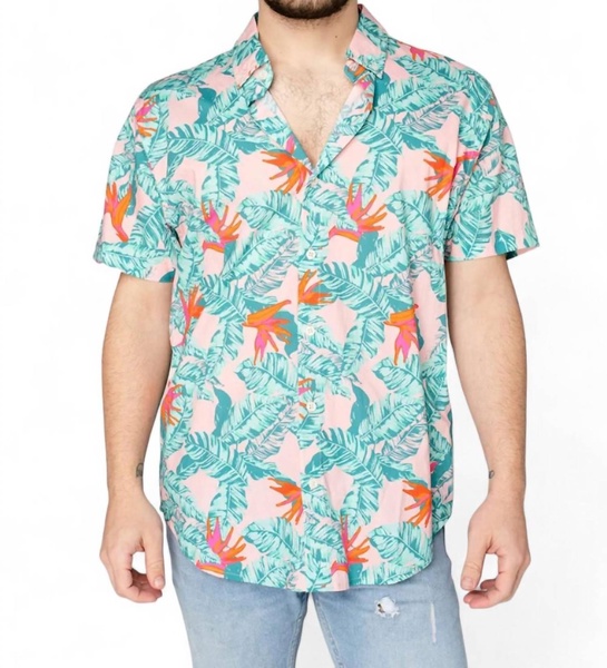 robert button down dress shirt in hibiscus