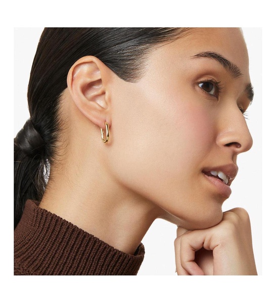 Gold Hoop Earrings - Rox Small