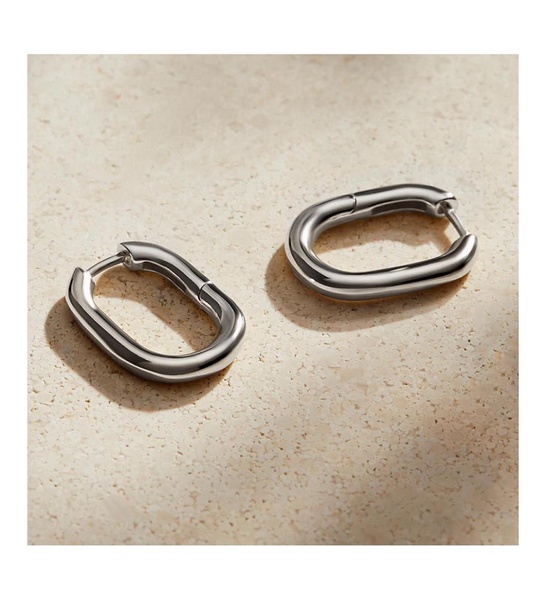 Silver Hoop Earrings - Rox Small Silver