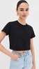 Cropped Classic Crew Tee