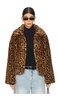 Elis Leopard Short Coat