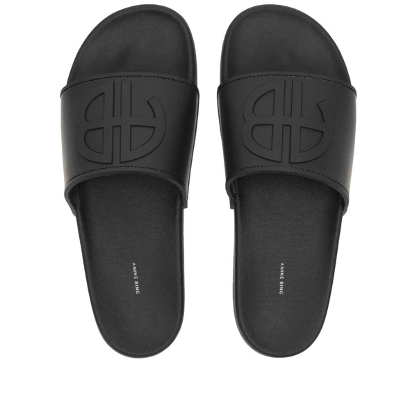 Anine Bing Isla Logo Slides