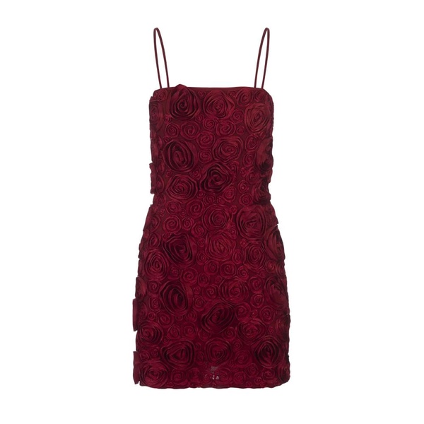 Red Rose Embroidered Mini Slip Dress