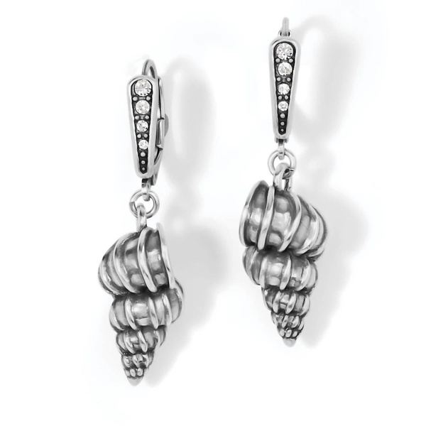 women's shells leverback earring in silver