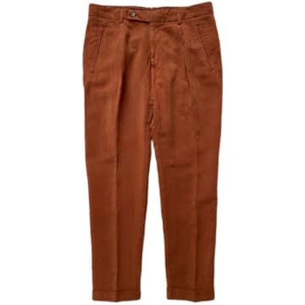 Lyocell Linen One-pleat Chino Pants In Brick Red