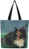 Multicolor Canvas Shopper Tote