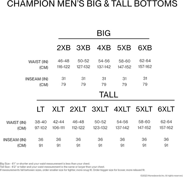 Champion Men's Joggers, Powerblend, Fleece Joggers, Comfortable Sweatpants for Men (Reg. or Big & Tall)