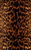 Tay Animal-Print Cotton Mini Dress