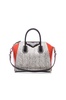 Small Colorblock Elaphe Antigona