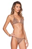 COPPER CANYON bikini underwear