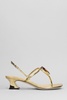 Giuseppe Zanotti Anthonia Sandals