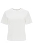 "classic organic cotton t-shirt"