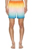 Swim Short