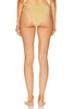 Charmaine High Waisted Bikini Bottom