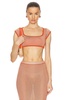 Lycra Cap Sleeve Crop Top