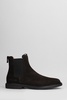 Ankle Boots In Brown Suede