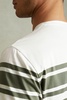 Mercerised Cotton Striped Crew Neck T-Shirt in White/Sage